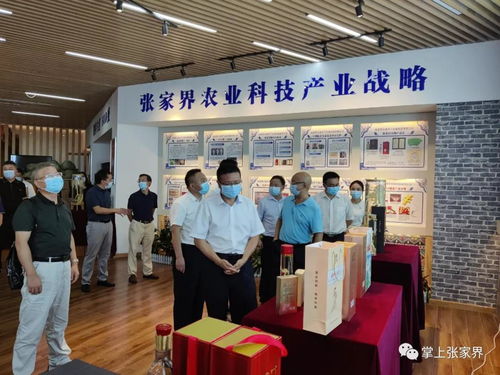 胡丘陵調研張家界王者天下生物科技，強調網站技術服務在企業數字化轉型中的關鍵作用